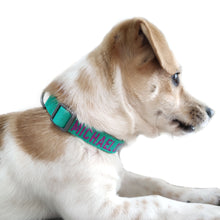 Load image into Gallery viewer, P.Y.T. Pet 15 Colors Personalized Dog Collars, Custom Embroidered with Pet Name and Phone Number- Green
