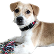 Load image into Gallery viewer, P.Y.T. Pet 15 Colors Personalized Dog Collars, Custom Embroidered with Pet Name and Phone Number- Black