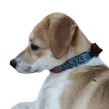 Load image into Gallery viewer, P.Y.T. Pet 15 Colors Personalized Dog Collars, Custom Embroidered with Pet Name and Phone Number- Grey