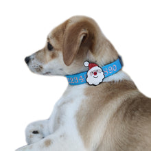 Load image into Gallery viewer, P.Y.T. Pet 15 Colors Personalized Dog Collars, Custom Embroidered with Pet Name and Phone Number- Lake Blue