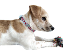 Load image into Gallery viewer, P.Y.T. Pet 15 Colors Personalized Dog Collars, Custom Embroidered with Pet Name and Phone Number- Light Blue
