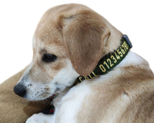 Load image into Gallery viewer, P.Y.T. Pet 15 Colors Personalized Dog Collars, Custom Embroidered with Pet Name and Phone Number- Military Green