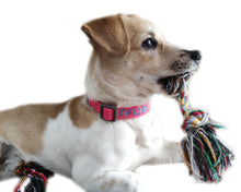 Load image into Gallery viewer, P.Y.T. Pet 15 Colors Personalized Dog Collars, Custom Embroidered with Pet Name and Phone Number- Pink