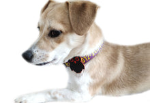 Load image into Gallery viewer, P.Y.T. Pet 15 Colors Personalized Dog Collars, Custom Embroidered with Pet Name and Phone Number- Purple