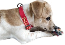 Load image into Gallery viewer, P.Y.T. Pet 15 Colors Personalized Dog Collars, Custom Embroidered with Pet Name and Phone Number- Red