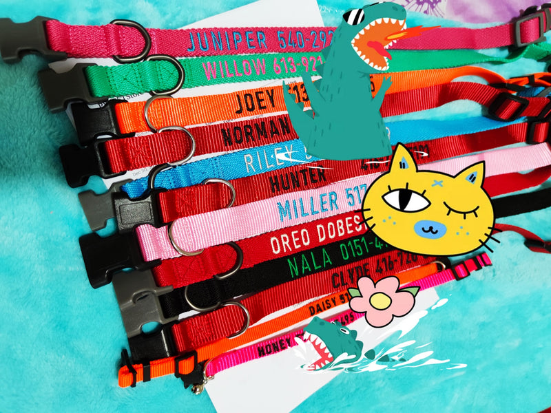 Embroidered Dog Collars- Colorful Collars