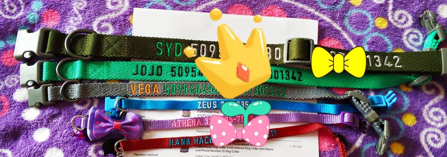 P.Y.T. PET Embroidered Dog Collars- Full Size Range Collars