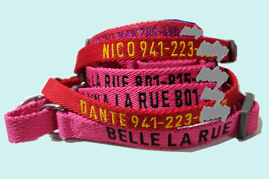 P.Y.T.PET_Personalized Dog Collar_Martingale Dog Collar