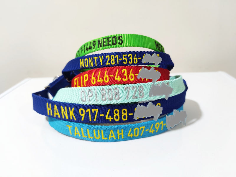 P.Y.T.PET_Personalized Dog Collar_Martingale Dog Collar