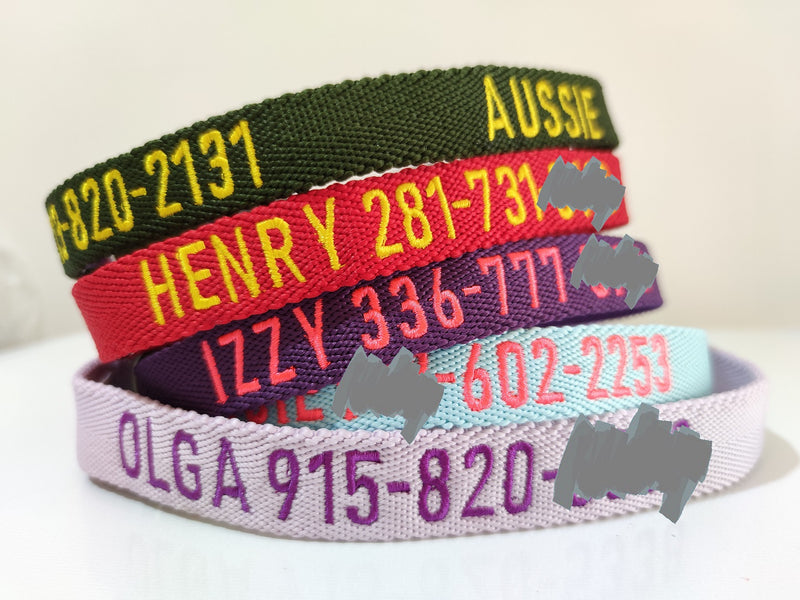 P.Y.T. PET Embroidered Dog Collars- Bright Collars