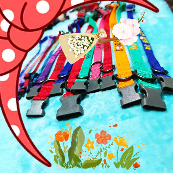 Enjoy Colors! Make Your Dogs Shine!