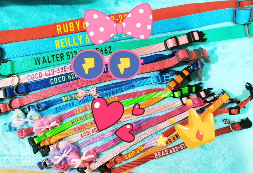 It is Summer Time! Let's Enjoy Colors!