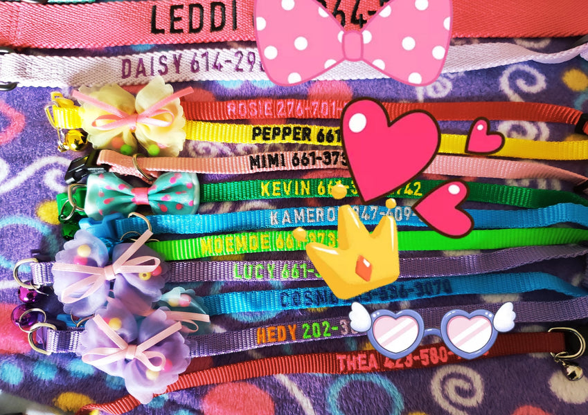 Collars Recently Done