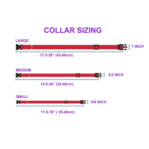 P.Y.T. Pet 15 Colors Personalized Dog Collars, Custom Embroidered with Pet Name and Phone Number- Orange
