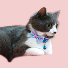 Load image into Gallery viewer, P.Y.T. PET BUY 1 GET 2 Personalized Cat, Small Dog Collars, Customized Embroidered Cat Collar with Name and Phone Number, ID Collar with Bell, Bow Tie
