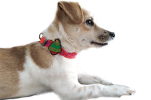 Load image into Gallery viewer, P.Y.T. Pet 15 Colors Personalized Dog Collars, Custom Embroidered with Pet Name and Phone Number- Orange
