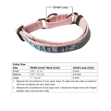 Load image into Gallery viewer, P.Y.T. Pet_Personalized Martingale Dog Collar Customized with Embroidered phone and name, ID Collar Small Medium Large Size for Boy Girl Dog-Lake Blue

